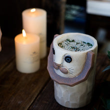 Load image into Gallery viewer, Lovely carnivore flowerpot
