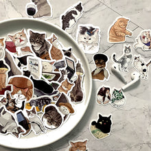 Load image into Gallery viewer, Cute Pet Kitten Cute Cartoon Sticker Suitcase Mobile Phone Case Stationery Decoration
