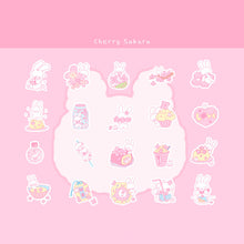 Load image into Gallery viewer, Cute cartoon PET sticker pack
