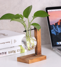 Load image into Gallery viewer, Glass Wood Vase Table Desktop Hydroponics Plant Stationery Bonsai Flower Pot Decoration Hanging Pots with Wooden Tray Pen Holder
