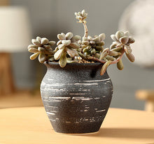 Load image into Gallery viewer, Breathable Stoneware Succulent Flower Small Flower Pot
