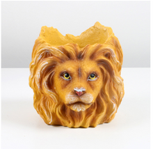 Load image into Gallery viewer, Fleshy Animals are Home Furnishings for Plants and POTS
