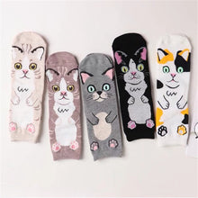 Load image into Gallery viewer, Spring And Autumn New Cartoon Straight Socks Female Adult Animal Cute Female Sockscotton Socks In Stockings
