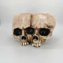 Load image into Gallery viewer, Halloween Skull Resin Flower Pot Outdoor Study
