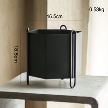 Load image into Gallery viewer, Nordic style wrought iron flower pot
