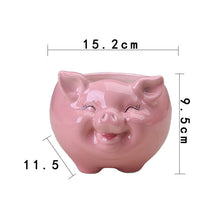 Load image into Gallery viewer, Simple Nordic Cartoon Animal Succulent Flower Pot Ceramic Decorative Ornaments
