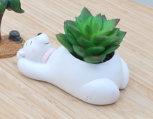 Load image into Gallery viewer, Creative Cartoon Animal Succulent Plant Pot
