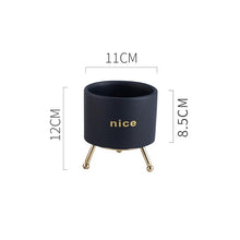 Load image into Gallery viewer, Creative Personality Iron Ceramic Flowerpot
