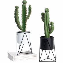 Load image into Gallery viewer, North Flower Pot Iron Flower Stand Green Radish Office Living Room Home
