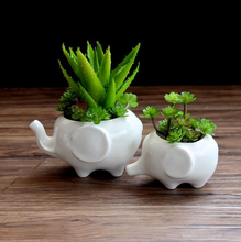 Load image into Gallery viewer, Creative ceramic flower pot
