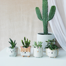 Load image into Gallery viewer, Personality succulent ceramic flowerpot
