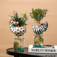 Load image into Gallery viewer, Succulent Automatic Water-absorbing Flowerpot Lazy Decoration
