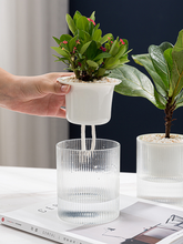 Load image into Gallery viewer, Self-absorbent succulent flower pot
