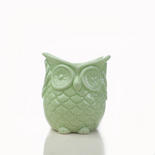 Load image into Gallery viewer, Green plant ceramic flower pot container
