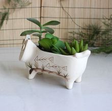 Load image into Gallery viewer, Stoneware Cat Succulent Flower Pot Ceramic

