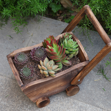 Load image into Gallery viewer, Succulent Flower Pot
