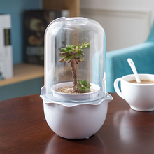 Load image into Gallery viewer, Cute Desktop Simple Creative Smart Plant Flower Pot
