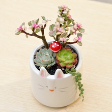 Load image into Gallery viewer, Fun Play Gardening Ceramic Flower Pot
