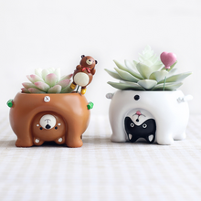 Load image into Gallery viewer, Come and see the world's succulent plant pots
