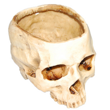 Load image into Gallery viewer, Resin Skull Flower Pot Ashtray Resin Skull Ornament Flower Pot
