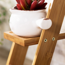 Load image into Gallery viewer, Succulent Potted Solid Wood Bay Window Flower Pot Shelf Storage
