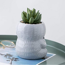 Load image into Gallery viewer, Simple Ceramic Succulent Breathable Sloth Flower Pot

