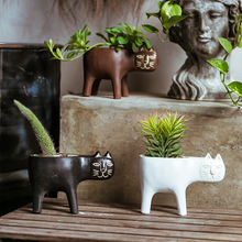 Load image into Gallery viewer, Cartoon Cat Shaped Gardening Green Planting Pots Home Crafts
