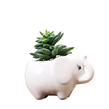 Load image into Gallery viewer, Gardening creative succulent flower pot

