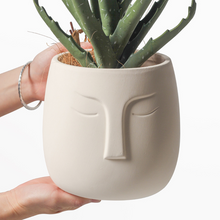 Load image into Gallery viewer, DIY Hand Painted Creative Breathable Pot Succulent Ceramic Flower Pot
