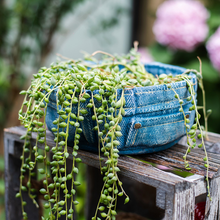 Load image into Gallery viewer, Jeans pocket flower pot small flower pot
