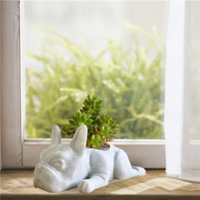 Load image into Gallery viewer, Resin Crafts Flower Pots Gardening Ornaments
