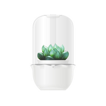 Load image into Gallery viewer, Personality Lazy Succulent Plant Pot
