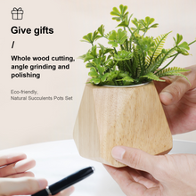 Load image into Gallery viewer, Simple Wooden Flowerpot Creative Home Garden
