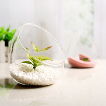 Load image into Gallery viewer, Large Beveled Glass Vase Creative Micro Landscape Ecological Bottle
