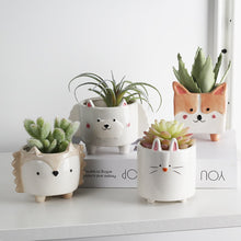 Load image into Gallery viewer, Personality succulent ceramic flowerpot
