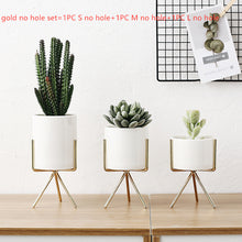 Load image into Gallery viewer, Flavor flower pot wrought iron vase simple iron frame
