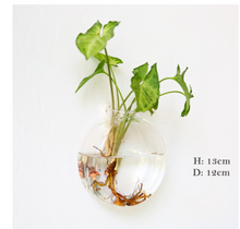 Load image into Gallery viewer, Fashion Wall Hanging Glass Flower Vase Terrarium Wall Fish Tank Aquarium Container Flower Planter Pots Home Garden Decoration
