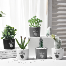 Load image into Gallery viewer, Succulent simulation plant small potted cactus ball
