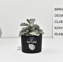 Load image into Gallery viewer, Succulent simulation plant small potted cactus ball
