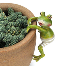 Load image into Gallery viewer, Frog potted ornament
