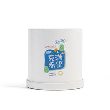 Load image into Gallery viewer, Matte Straight Personality Indoor Ceramic Flowerpot

