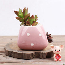 Load image into Gallery viewer, Creative Cute Succulent Flower Pot Handmade
