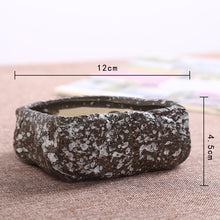 Load image into Gallery viewer, Mini Stone Succulent Plant Potted Kiln Becomes Creative Ceramic Green Plant Pot
