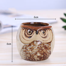 Load image into Gallery viewer, Owl Animal Thumb Flower Pot Personality Ceramic Craft Office Home Decoration
