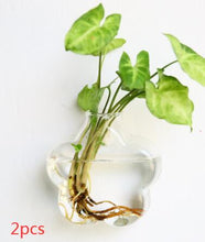 Load image into Gallery viewer, Fashion Wall Hanging Glass Flower Vase Terrarium Wall Fish Tank Aquarium Container Flower Planter Pots Home Garden Decoration
