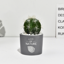 Load image into Gallery viewer, Succulent simulation plant small potted cactus ball
