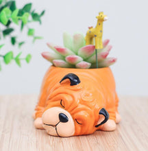 Load image into Gallery viewer, Animal Planter Pot
