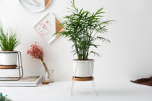 Load image into Gallery viewer, Trapezoidal wrought iron ceramic flower pot
