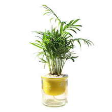 Load image into Gallery viewer, Cartoon glass ceramic flower pot
