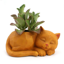 Load image into Gallery viewer, Creative three-dimensional lazy cat flower pot

